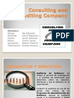 Consulting and Auditing Company