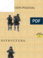 Funcion Policial