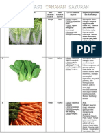 Identifikasi Tanaman Sayuran