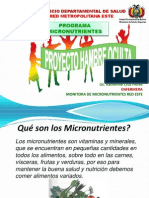 Taller Suplementacion Micronutrientes. Presentación Pptx