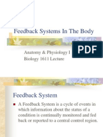 Feedback Systems in the Body