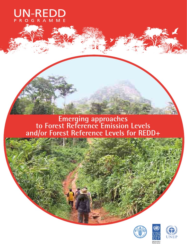 REDD+ Forest Reference Levels Overview | PDF | Reducing Emissions From ...
