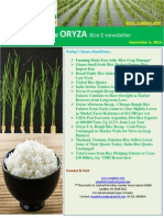 Oryza: Daily Exclusive