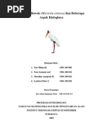 Download Mycteria cinerea by Komala Sari SN24589921 doc pdf