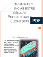Difetencias y Semenjanzas Entre Células Eucariota y Procariotas