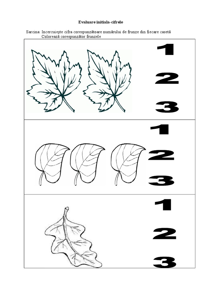 Fisa Nr Colorat Frunze N De Printat