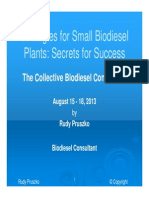 Strategies For Small Biodiesel Plants: Secrets For Success: The Collective Biodiesel Conference