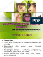 Edy SUPRIYANTO Anatomi-Sistem Panca Indera