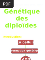 Génétique des diploïdes