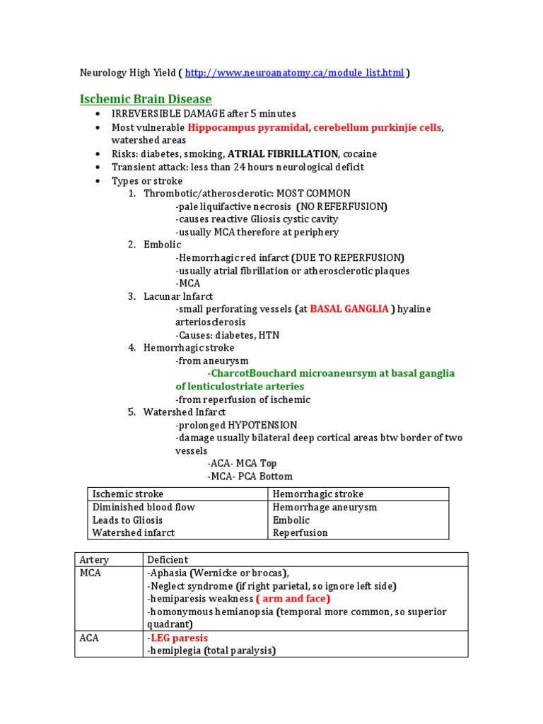 High Yield Neurology for USMLE Step 1 | PDF | Cerebellum | Multiple ...