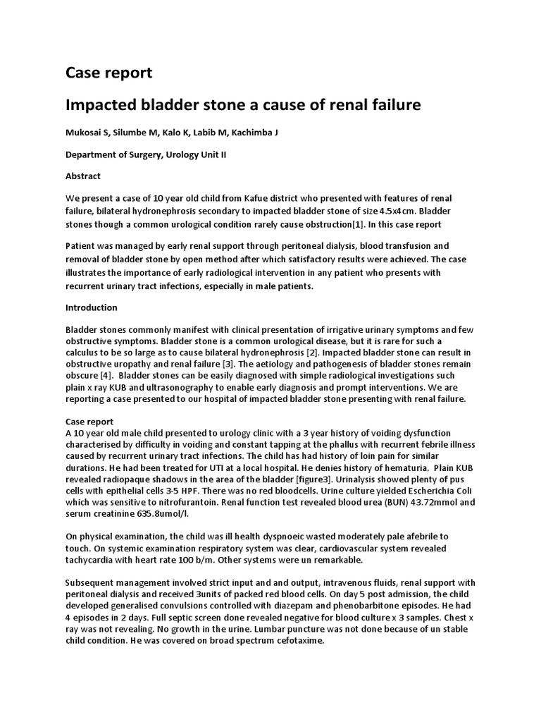 Impacted Bladder Stone Causing Renal Failure | PDF | Urinary Tract ...