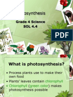 Photosynthesis 5