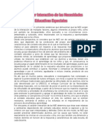 El Carácter Interactivo de Las Necesidades Educativas Especiales