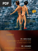 Esta guía va de culo