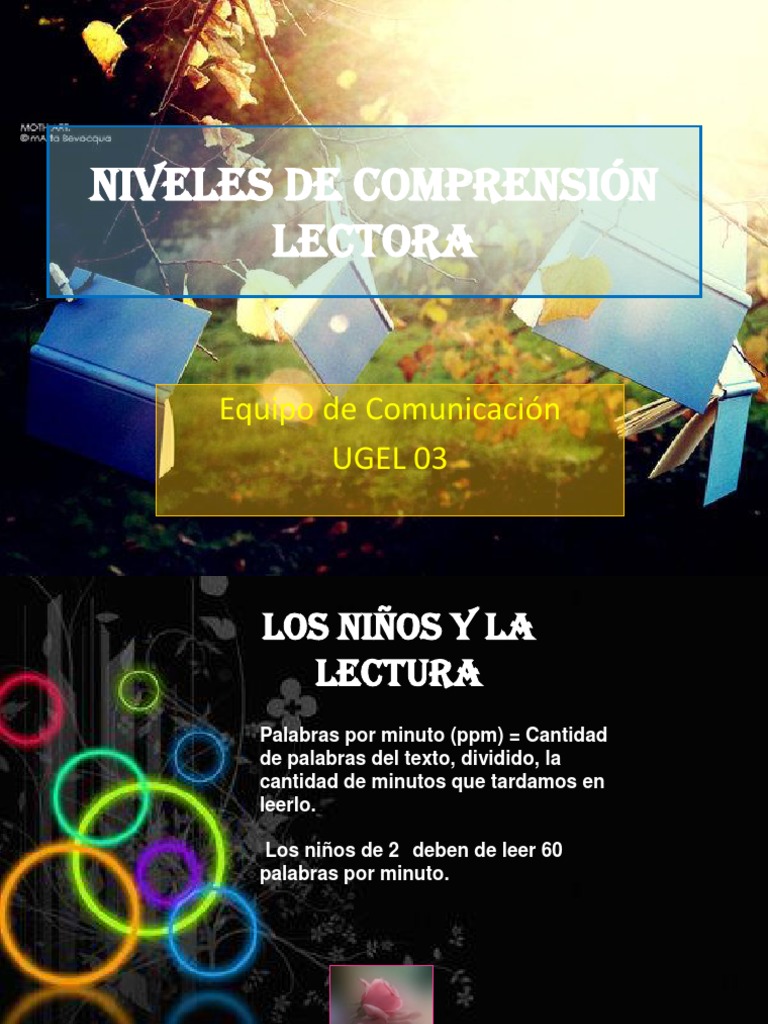 Niveles de Comprension Lectora | PDF | Inferencia | Programa para la ...