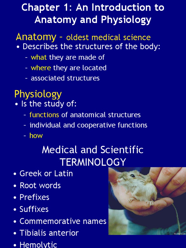 Anatomy and Physiology Chapter 1 Introduction | PDF | Organ (Anatomy ...