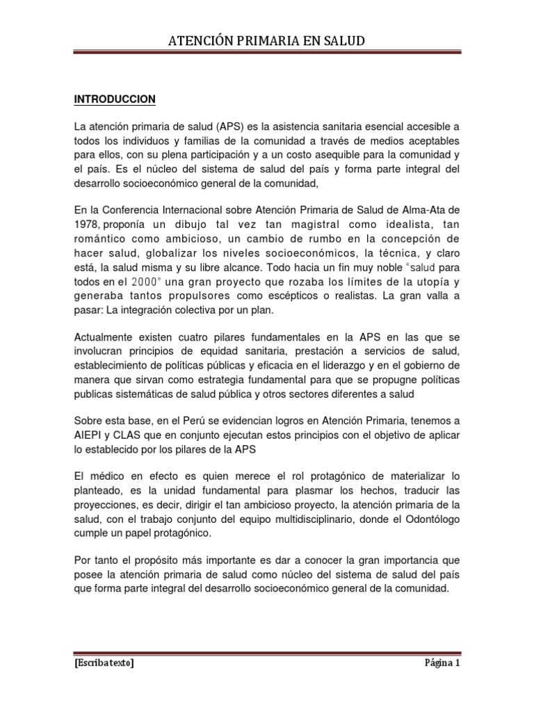 Importancia de la Atención Primaria en Salud | PDF | Sistema de salud ...