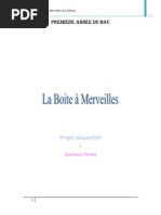 Download boite  merveilles by nana-kola SN245970348 doc pdf