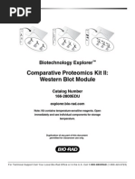 Download Western Blot 10004531a by dnajen SN24599131 doc pdf