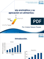 Hidrolisis Enzimatica y Su Aplicacion en Alimentos - Cristian Salazar 2012