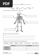 Evaluations (SCIENCE SM3º)