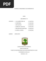 Download  Praktikum Anatomi Hewan by alvitakhoridatul SN246003474 doc pdf