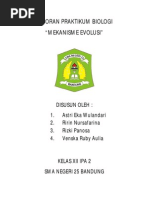 Download Contoh Laporan Praktikum Mekanisme Evolusi by holteendersinthesky SN246004347 doc pdf