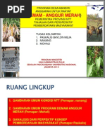 Download  Teori Dan Isu Pembangunan by Mohalli Ahmad SN246005314 doc pdf