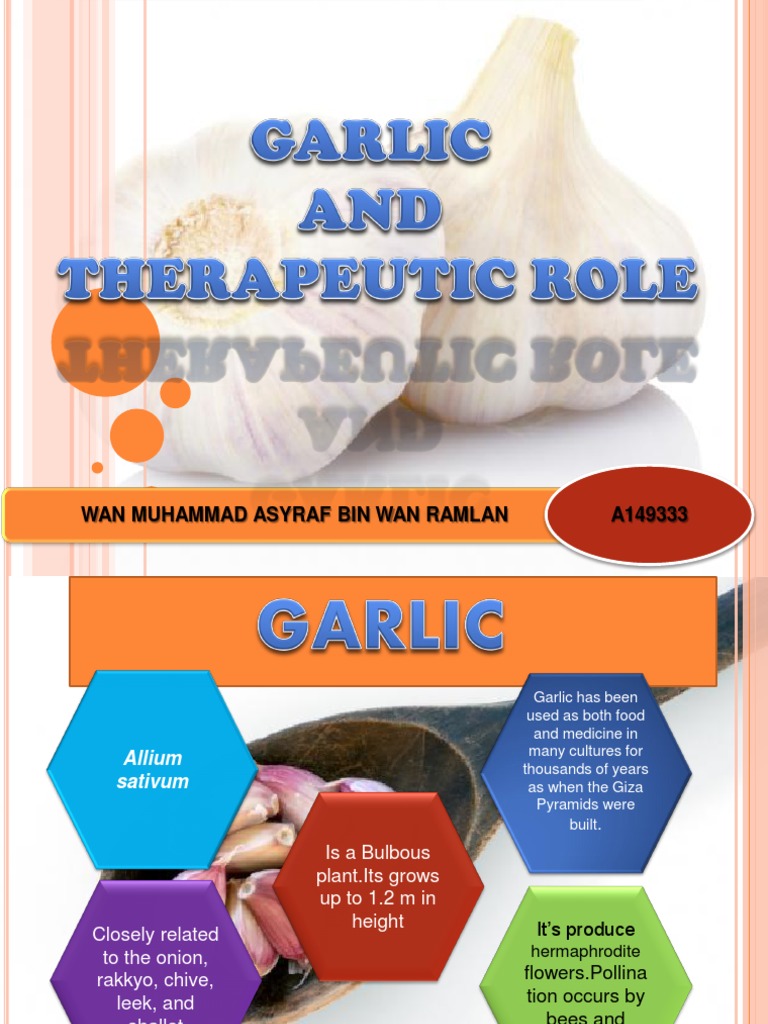 Therapeutic Benefits of Garlic | PDF