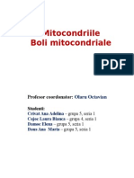 208520953-Mitocondriile