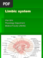 Limbic System