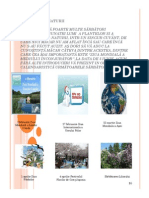 CALENDARUL NATURII - ppt-11 PDF