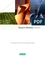 Bulletin 2033C Western Blotting Products