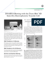 DNA - RNA Blotting With The Trans-Blot SD Semi Dry Electrophoretic Transfer Cell