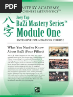 Download BaZi for Beginner Course Advantage by donzaghi SN246031547 doc pdf