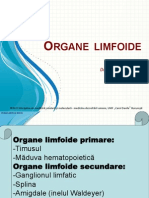 Sistem Limfoid - Lucrare Practica