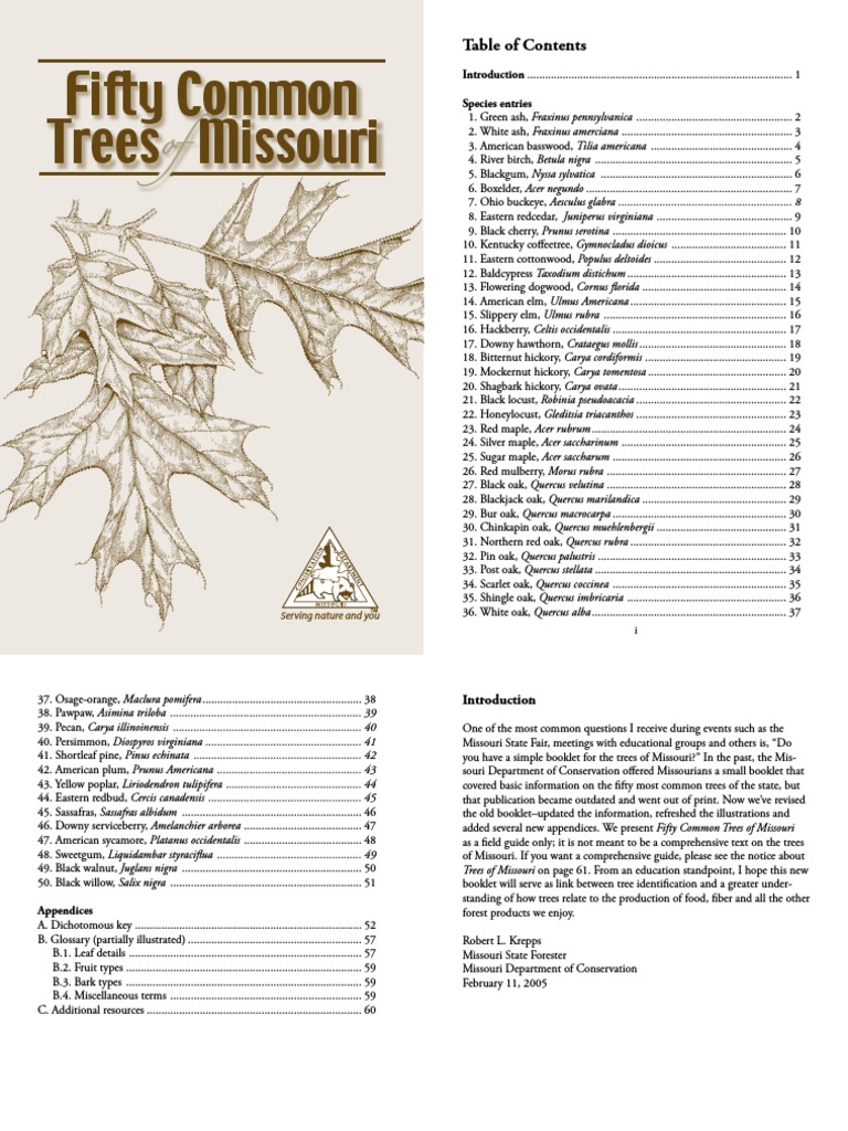 50 Common Trees of Missouri Trees Oak