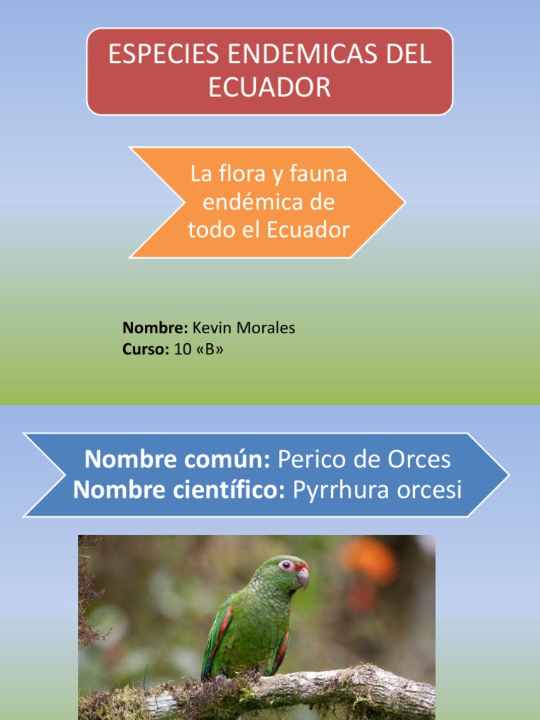 Especies Endémicas del Ecuador | PDF | Ciencia y matemáticas