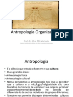 Antropologia_Organizacional.pptx