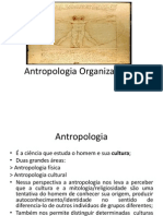 Antropologia_Organizacional 