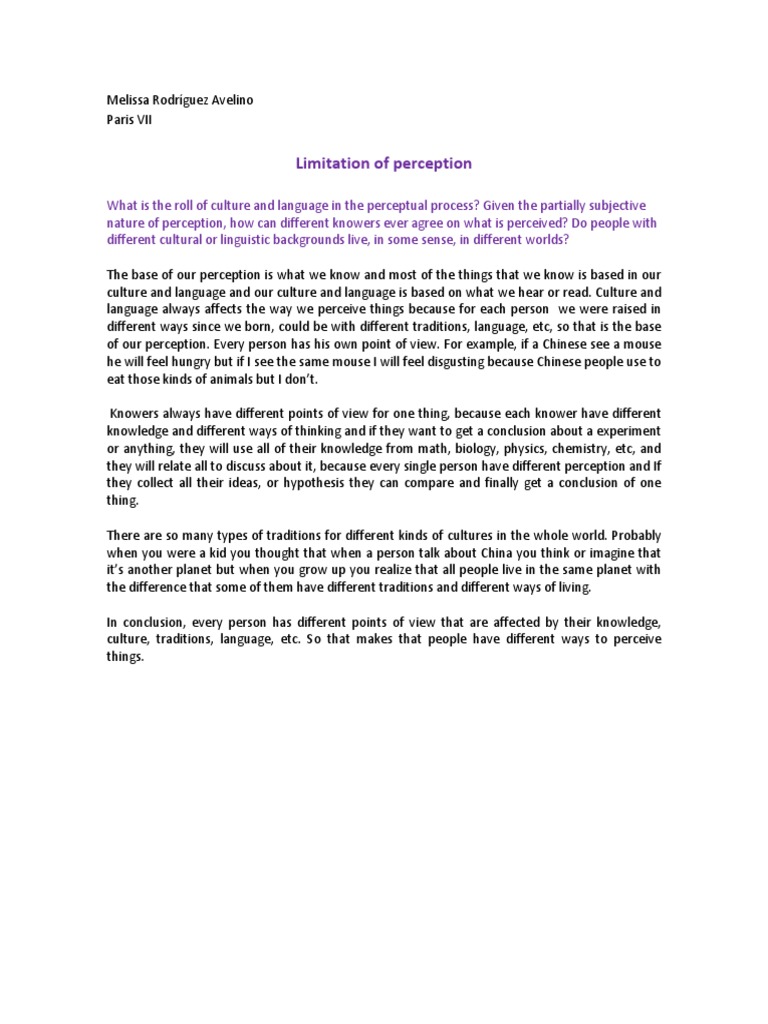 Culture's Impact on Perception Differences | PDF