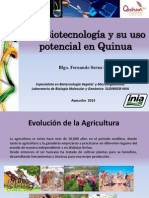 Biotecnologia en Quinua