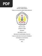 Download PERALATAN DALAM LABORATORIUM BIOLOGIdocx by jumrotulfitri248126 SN246069192 doc pdf