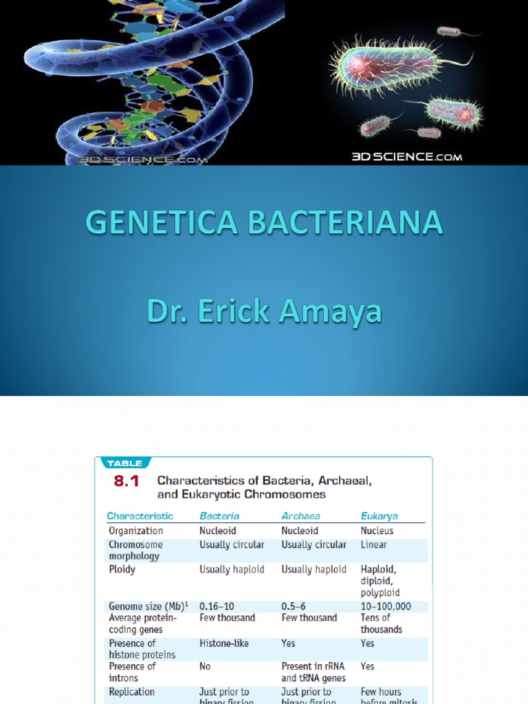 Bacteriana