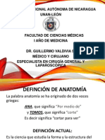 Generalidades de Anatomia 