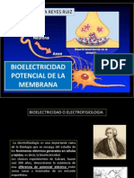 2biofisica-bioelectricidad