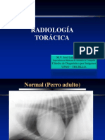Radiologia Torax