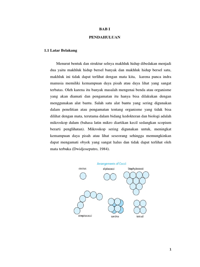LAPORAN PRAKTIKUM Morfologi | PDF