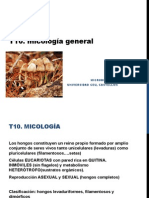 T 10. MICOSIS .pdf