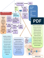 fisiopatologia